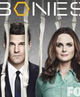 Bones season 11 /  11 